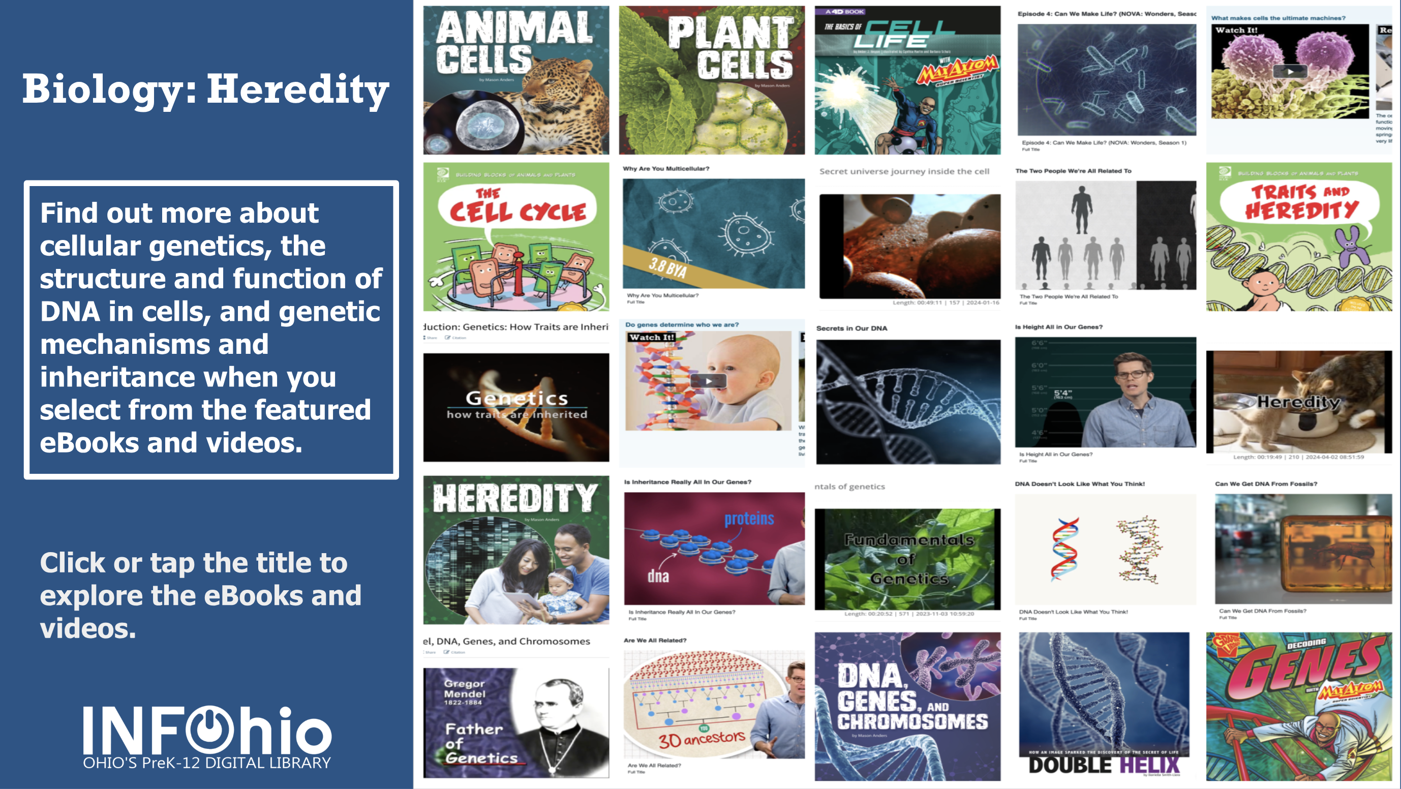 biologychoiceboard