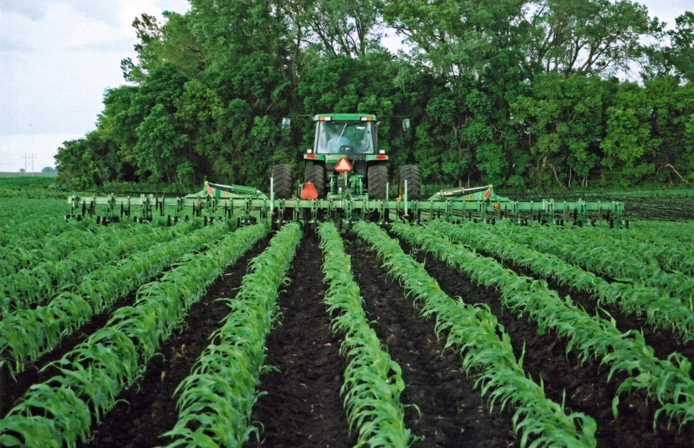 tractor passing over crops in a field