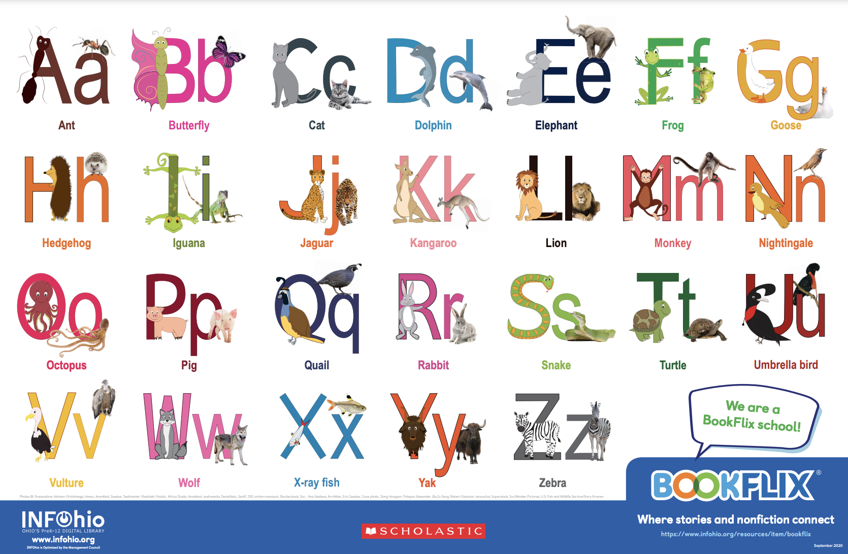 BookFlix Alphabet Animals Poster